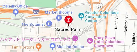 Palmの地図